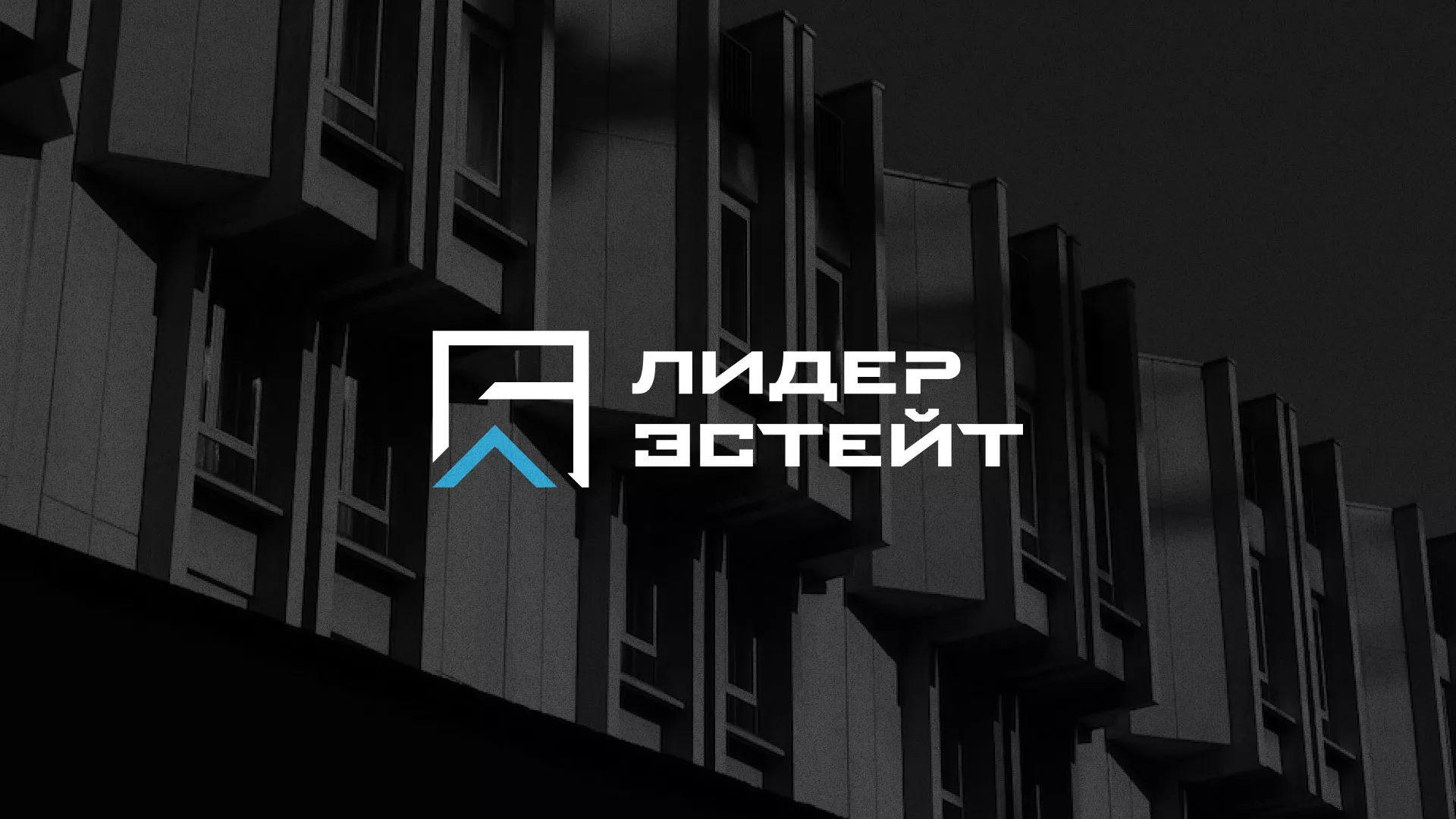 Разработка логотипа агентства недвижимости «Лидер Эстейт» в Называевске